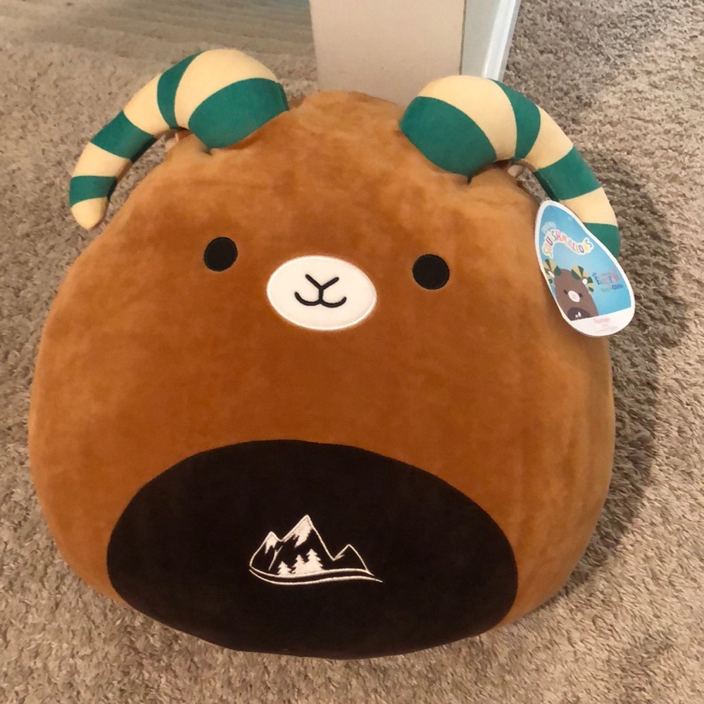 Large Ramsey Squishmallow